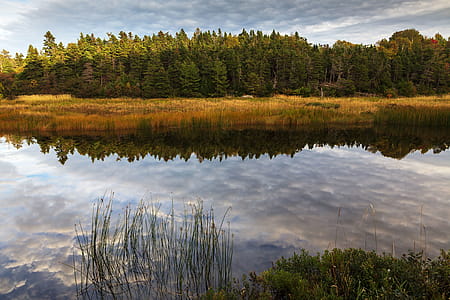 Autumn colors and reflections on the river trail. thumbnail