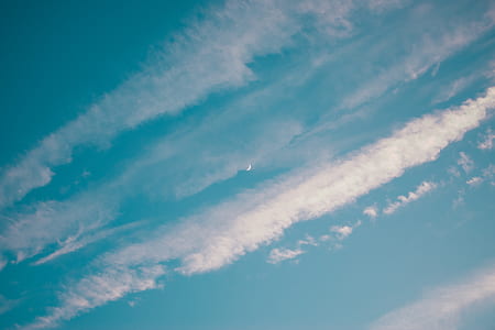 worms eye view of sky thumbnail