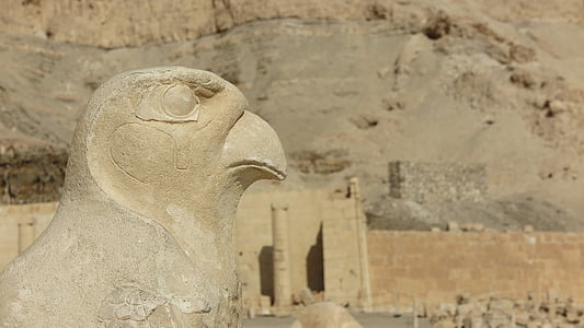selective focus photography of bird statue thumbnail