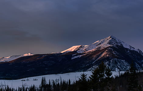 brown mountain near trees thumbnail