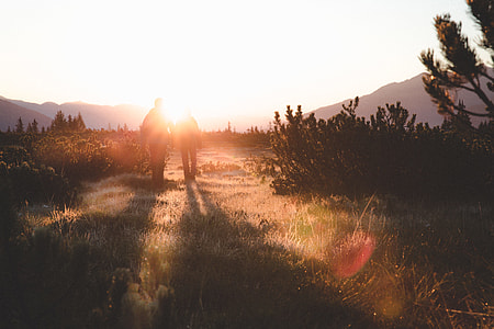silhouette photography of two person standing between grasses thumbnail