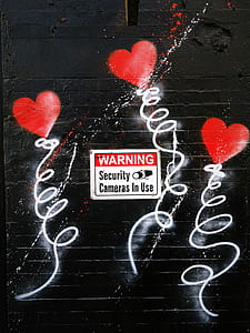 Warning Security Cameras signage thumbnail