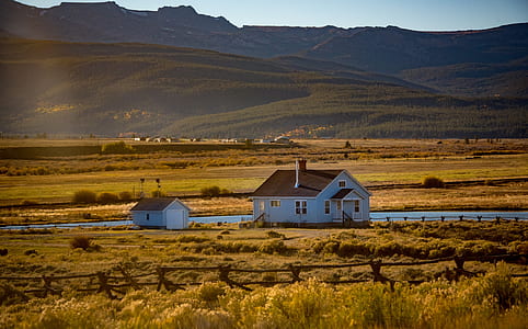 white houses beside river at daytime thumbnail
