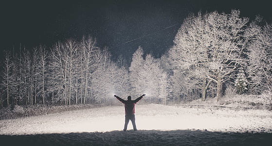 person standing on snow field forest during nighttime thumbnail