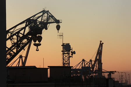 silhouette of crane thumbnail