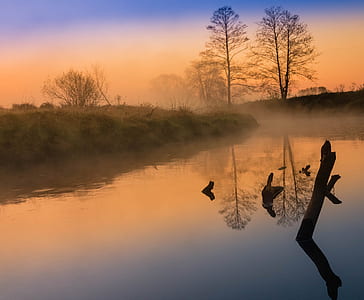 reflection mirror photography of trees near body of water thumbnail