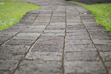selective focus photography of gray concrete pavement thumbnail