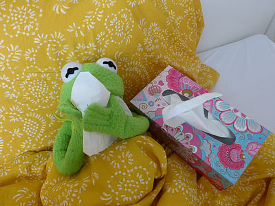 green frog plush toy beside tissue dispenser thumbnail