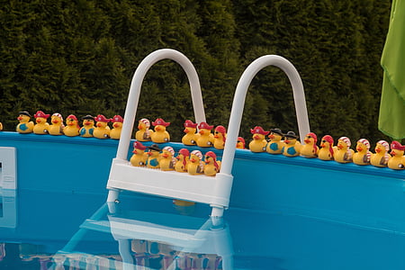 rubber duck toys on above ground pool frame thumbnail