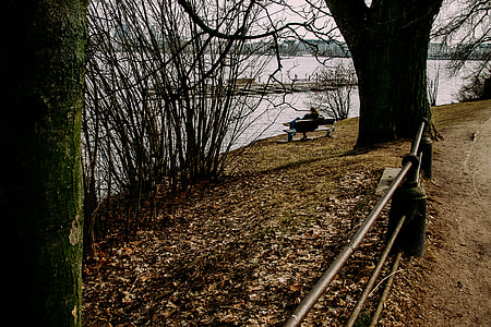 Couple in park thumbnail