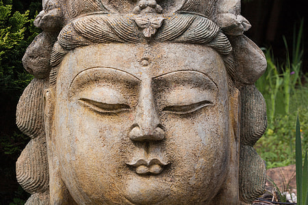 Buddha statue near grass field thumbnail