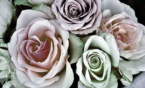 purple, pink, and green floral decor thumbnail