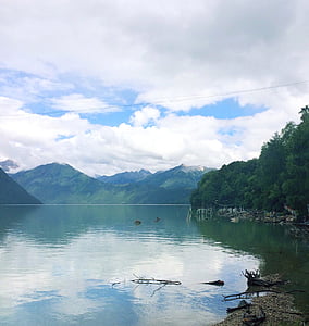 green trees near body of water thumbnail