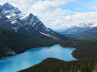 snow capped mountain surrounded by trees thumbnail
