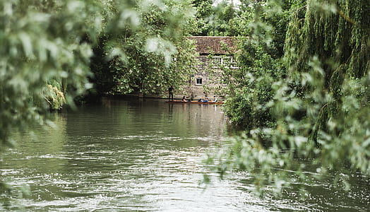 River in Middle of Trees thumbnail