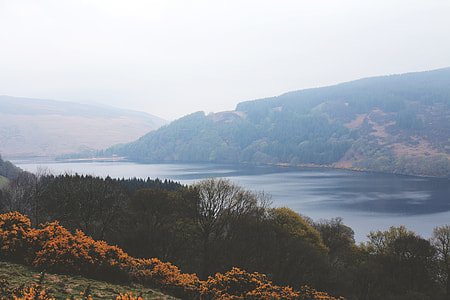 Beauty of Lough Dan, Ireland thumbnail