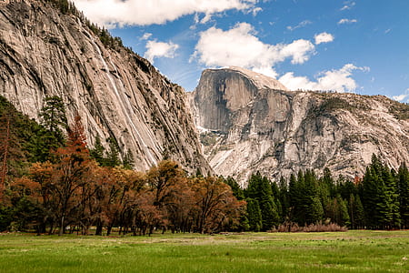 trees near gray mountain thumbnail