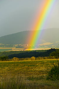 rainbow above grass field at daytime thumbnail