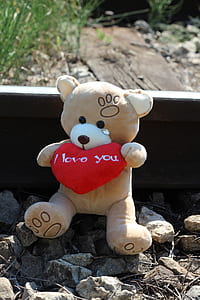 bear plush toy sitting on rock thumbnail