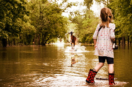 animal rushing toward to a girl thumbnail