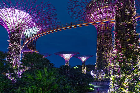 Gardens By The Bay, Singapore thumbnail