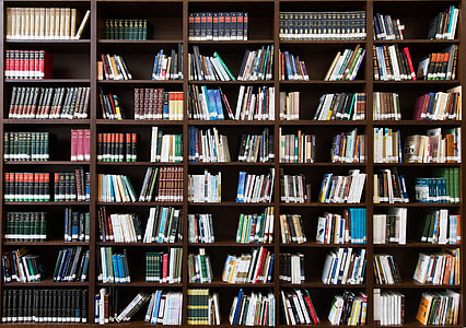 book collection in brown wooden bookcases thumbnail