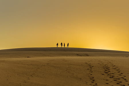 four people silhouette in dessert thumbnail