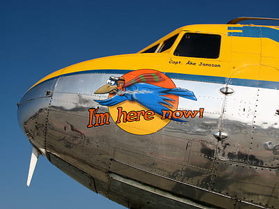 I'm Here Now sticker on plane thumbnail