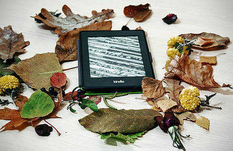 black Kindle e-book reader beside of assorted leaf lot thumbnail