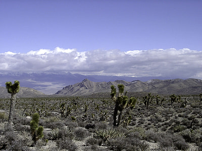 Las Vegas Desert Landscape in Nevada thumbnail