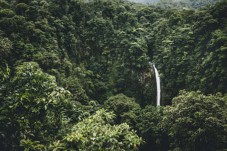 landscape photography of waterfalls near green trees thumbnail