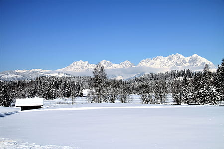 snow capped mountains near pine trees at daytime thumbnail