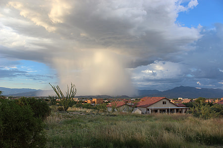 houses near forest below white clouds thumbnail