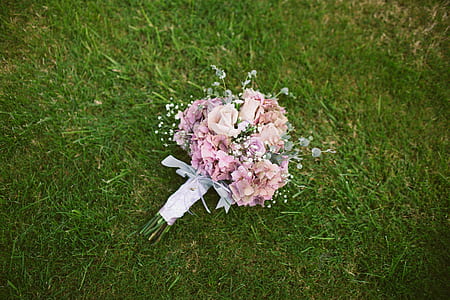bouquet of pink petaled flowers thumbnail