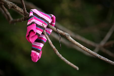 pink and black stripe sock on tree branch thumbnail