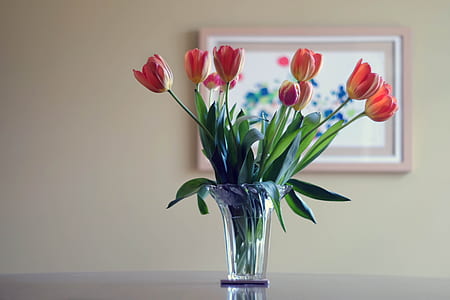 pink tulips in clear glass vase thumbnail