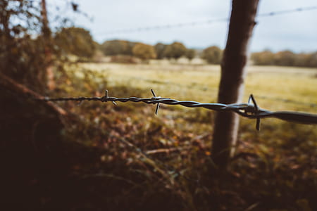 shallow focus of grey steel fence thumbnail