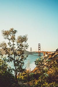 bridge on body of water thumbnail