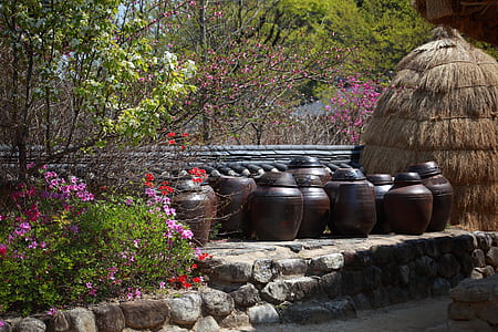 clay jars on brick platform near flowers and haystack thumbnail