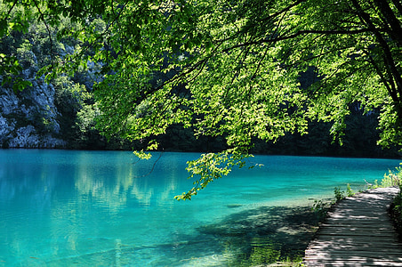 body of water during daytime thumbnail