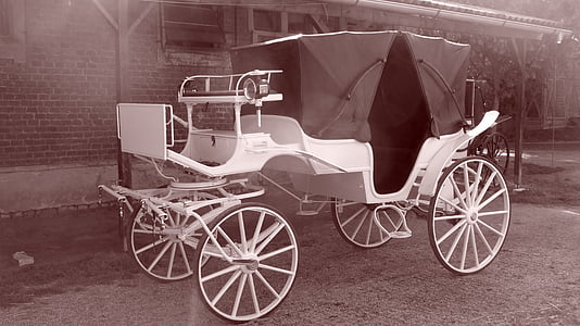 white horse carriage thumbnail