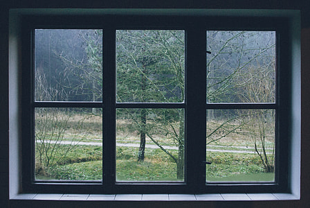 Looking out the window thumbnail