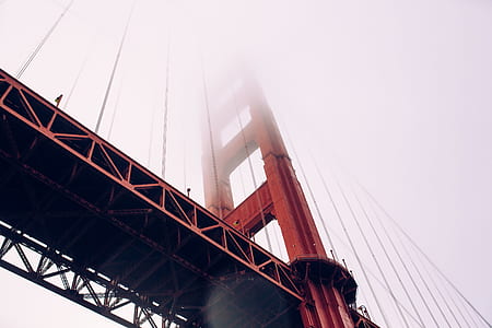 low-angle photography of Golden Gate Bridge thumbnail