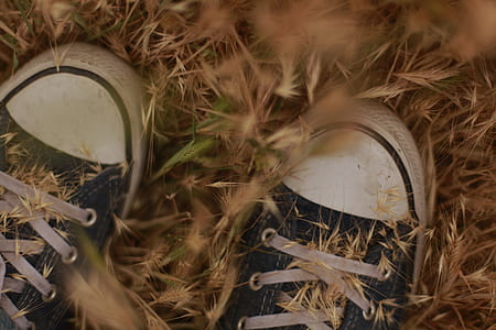 pair of blue Converse low-top sneakers on weeds thumbnail