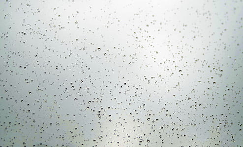 macro photography of water dew thumbnail