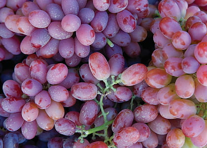 close-up photo of grape fruits thumbnail