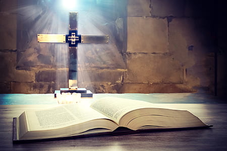 Holy Bible thumbnail