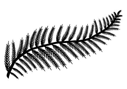 black plant illustration thumbnail