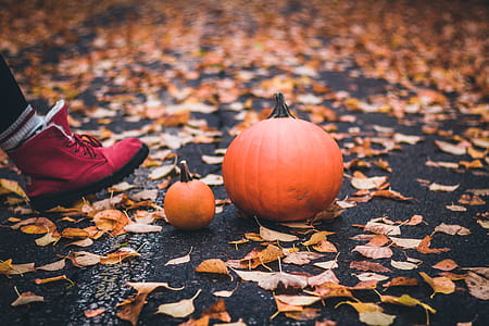 person walking towards pumpkin on road surrounded by dried leaves thumbnail
