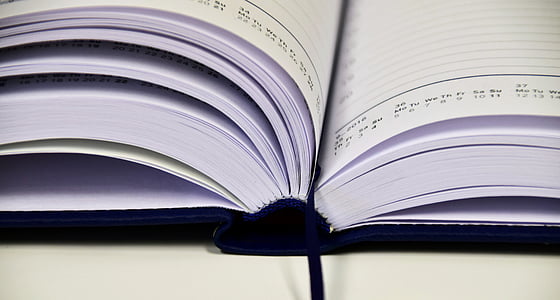 blue and white book thumbnail